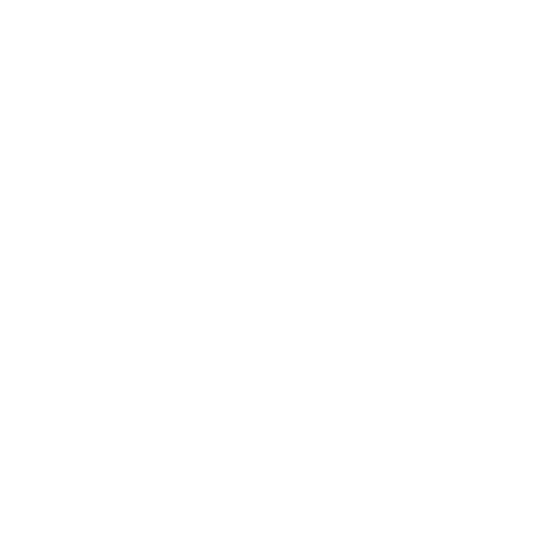 emv_logo